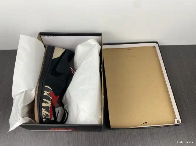 Kicktheory Air DN3400-001 1 x Low SoleFly Jordan Carnivore 0512